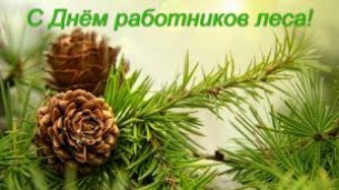 Уважаемые работники леса Мостовского района!
Поздравляем вас с профессиональным праздником!
