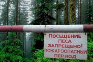 О запрете посещения лесов в Мостовком районе