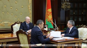 Лукашэнка аб стратэгіі для АПК: трэба хутчэй выходзіць на экспарт прадукцыі ў памеры $7 млрд